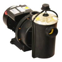 DAYLIFF DPX1500 POOL PUMP
