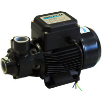 Dayliff DDP60 0.37kW Pump